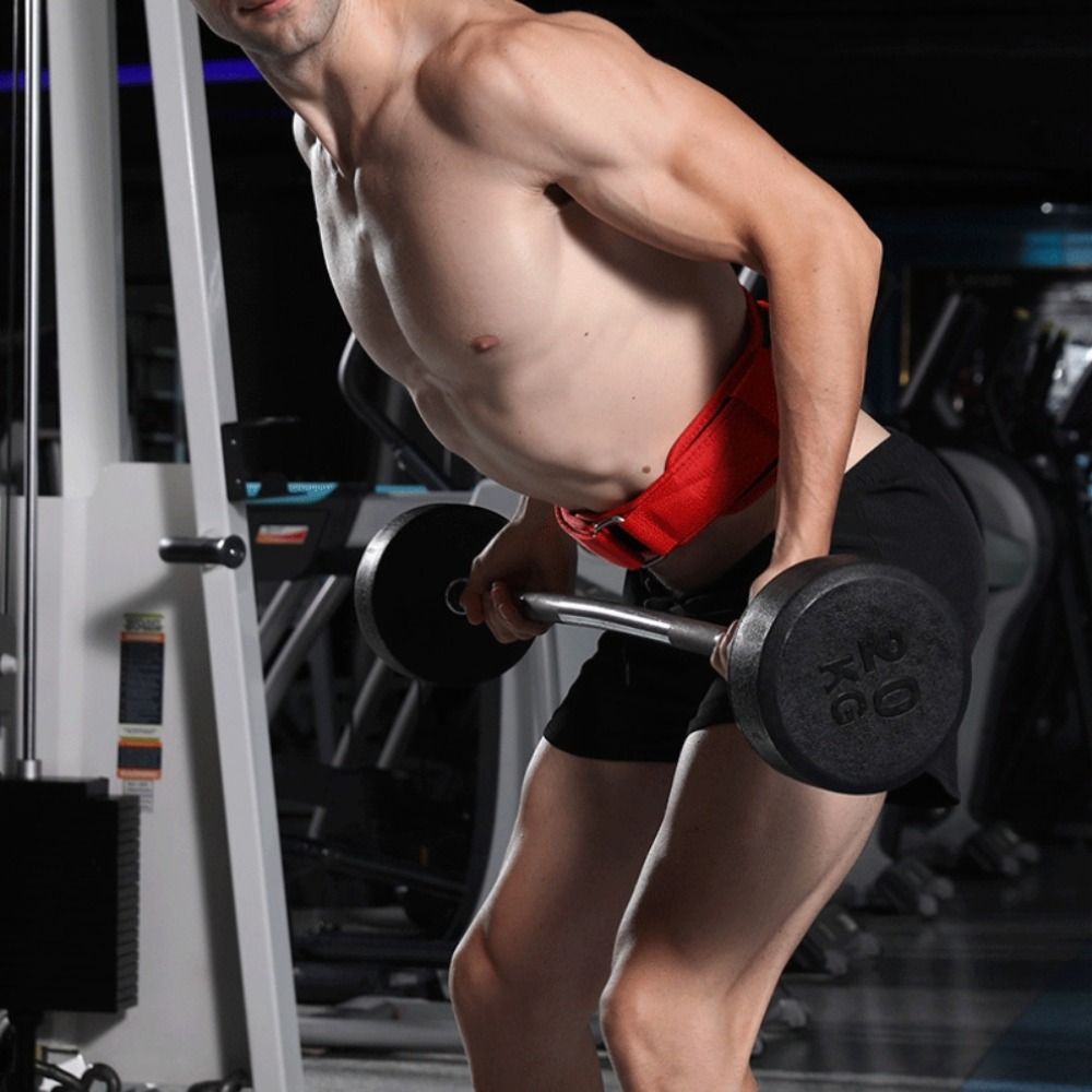 EVA 조정 가능한 피트니스 벨트 보디 빌딩 데드리프트 - Crossfit Workout With Equipment 리뷰 및 가격